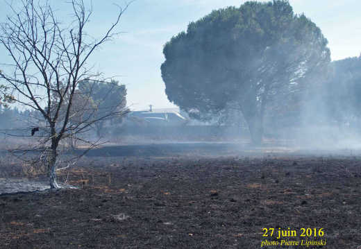 2016 06 27 CHAN-PL Incendie BDD ATL31 3907