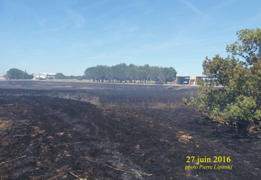 2016 06 27 CHAN-PL Incendie BDD   Zone detruite 3845