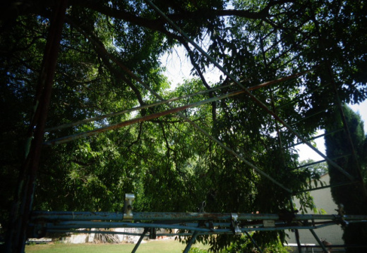 2017 06 15-02440 Echafaudage ATL demontage