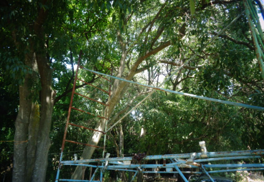 2017 06 15-02441 Echafaudage ATL demontage