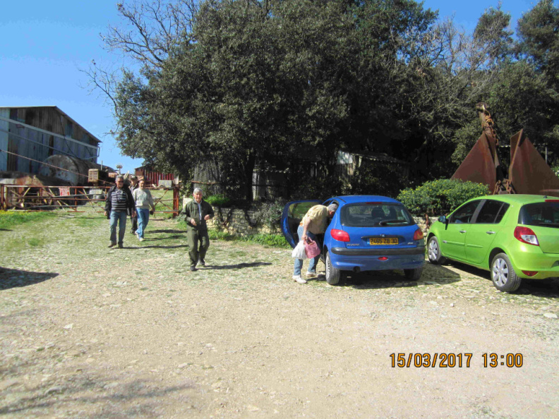 IMG_3451.jpg