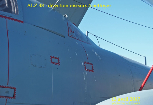 2017 04 13 chan-pl alz48 8502 48 dejections cellule g R 2