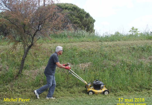 2018 05 17 CHAN-PL 6672 ATL31 Tondeuse Patrick Payet