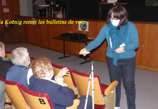 Distribution-des-bulletins-de-votes-N.Koening-