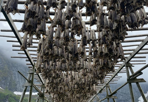 grand-nord-18-6-2022