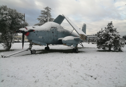 20230301152554-c22bbdc6