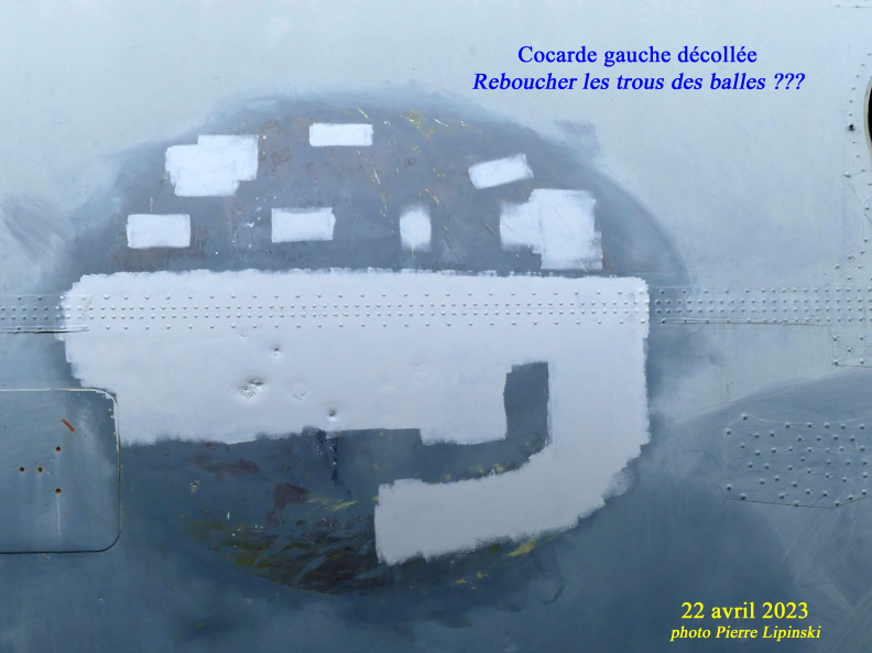 20230531192756-8fb28c46.jpg