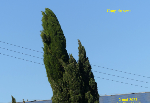 20230605181521-03b7dc05