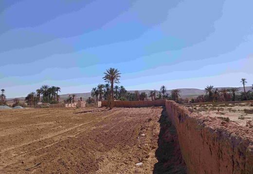 oasis 6